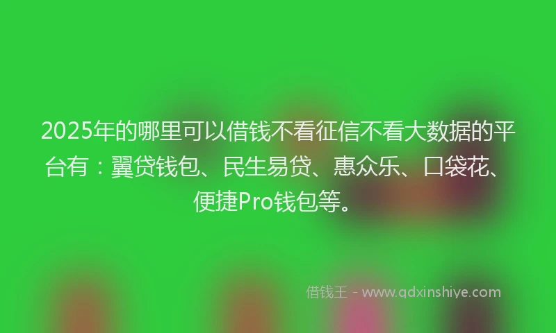 2025年的哪里可以借钱不看征信不看大数据的平台有：翼贷钱包、民生易贷、惠众乐、口袋花、便捷Pro钱包等。