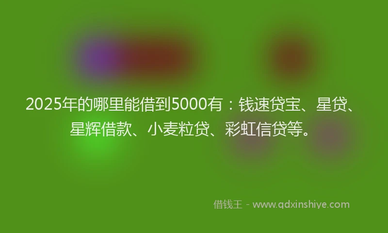 2025年的哪里能借到5000有：钱速贷宝、星贷、星辉借款、小麦粒贷、彩虹信贷等。