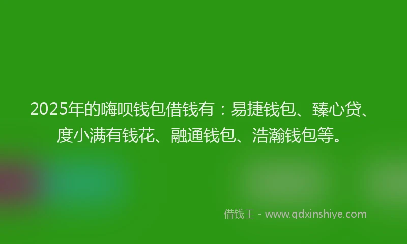 2025年的嗨呗钱包借钱有：易捷钱包、臻心贷、度小满有钱花、融通钱包、浩瀚钱包等。