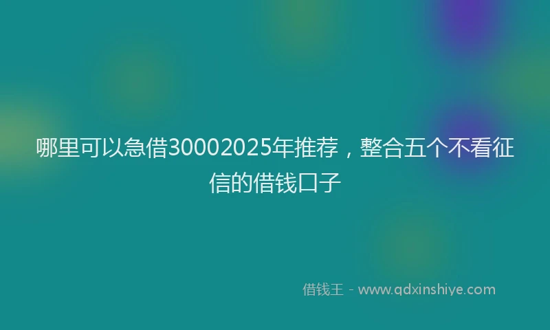 哪里可以急借30002025年推荐，整合五个不看征信的借钱口子