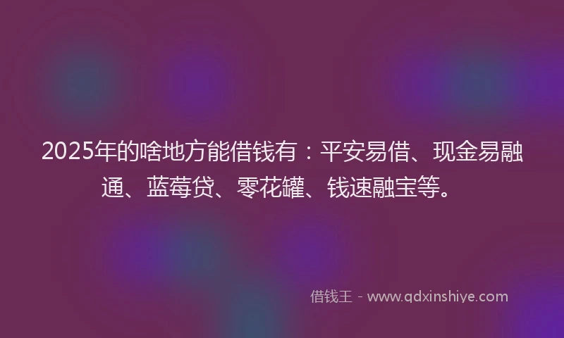 2025年的啥地方能借钱有：平安易借、现金易融通、蓝莓贷、零花罐、钱速融宝等。