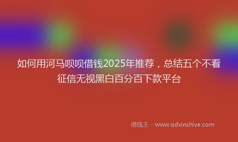 如何用河马呗呗借钱2025年推荐，总结五个不看征信无视黑白百分百下款平台