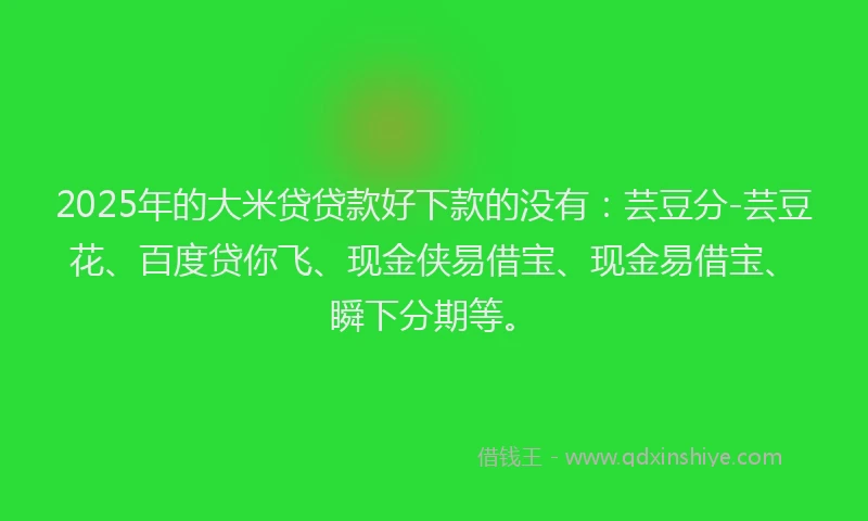 2025年的大米贷贷款好下款的没有：芸豆分-芸豆花、百度贷你飞、现金侠易借宝、现金易借宝、瞬下分期等。