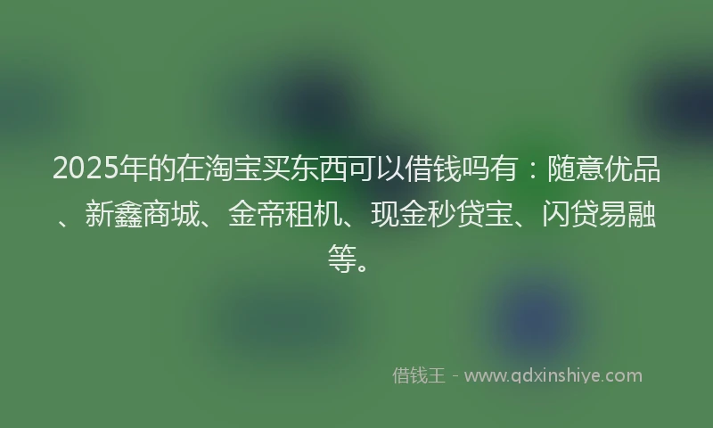 2025年的在淘宝买东西可以借钱吗有：随意优品、新鑫商城、金帝租机、现金秒贷宝、闪贷易融等。