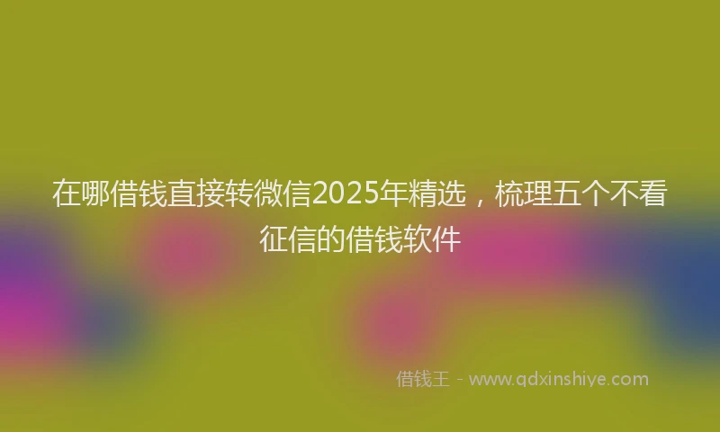在哪借钱直接转微信2025年精选，梳理五个不看征信的借钱软件