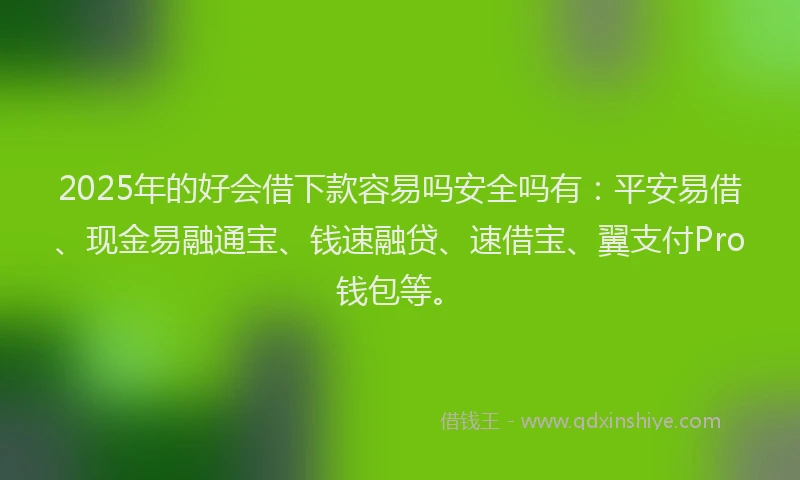 2025年的好会借下款容易吗安全吗有：平安易借、现金易融通宝、钱速融贷、速借宝、翼支付Pro钱包等。