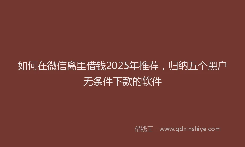 如何在微信离里借钱2025年推荐，归纳五个黑户无条件下款的软件