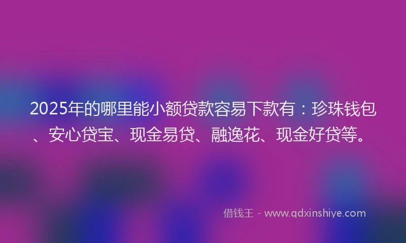 2025年的哪里能小额贷款容易下款有：珍珠钱包、安心贷宝、现金易贷、融逸花、现金好贷等。