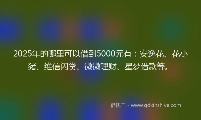2025年的哪里可以借到5000元有：安逸花、花小猪、维信闪贷、微微理财、星梦借款等。