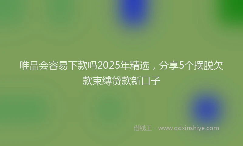 唯品会容易下款吗2025年精选，分享5个摆脱欠款束缚贷款新口子