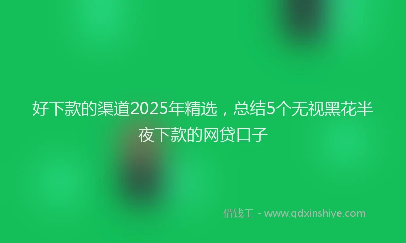 好下款的渠道2025年精选，总结5个无视黑花半夜下款的网贷口子