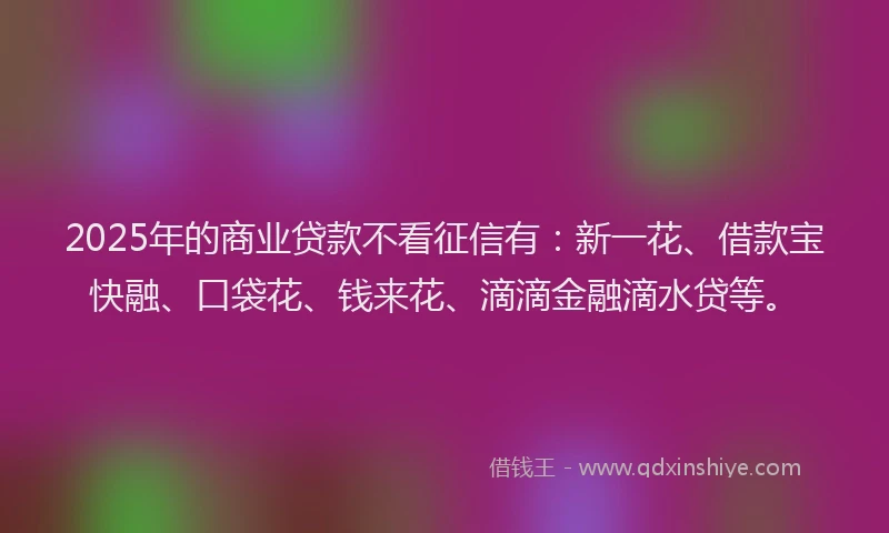 2025年的商业贷款不看征信有：新一花、借款宝快融、口袋花、钱来花、滴滴金融滴水贷等。