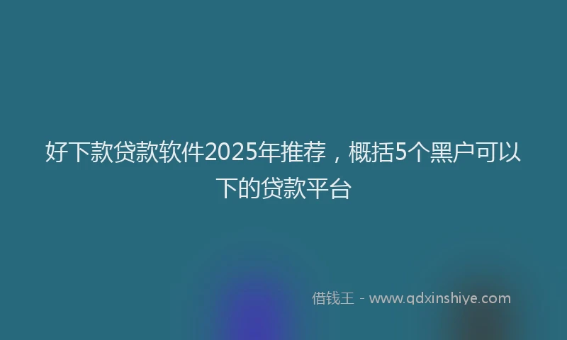 好下款贷款软件2025年推荐，概括5个黑户可以下的贷款平台