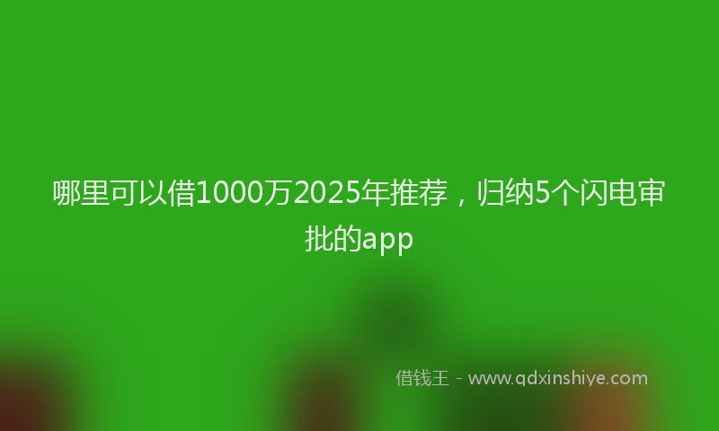 哪里可以借1000万2025年推荐，归纳5个闪电审批的app