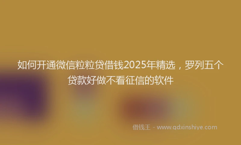 如何开通微信粒粒贷借钱2025年精选，罗列五个贷款好做不看征信的软件
