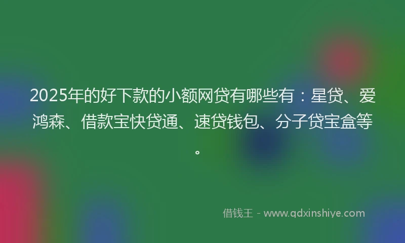 2025年的好下款的小额网贷有哪些有：星贷、爱鸿森、借款宝快贷通、速贷钱包、分子贷宝盒等。