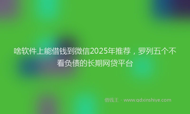 啥软件上能借钱到微信2025年推荐，罗列五个不看负债的长期网贷平台