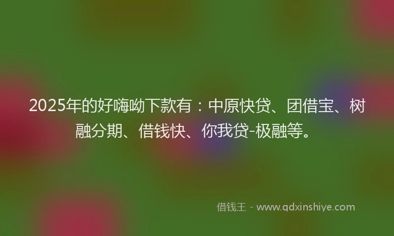2025年的好嗨呦下款有：中原快贷、团借宝、树融分期、借钱快、你我贷-极融等。