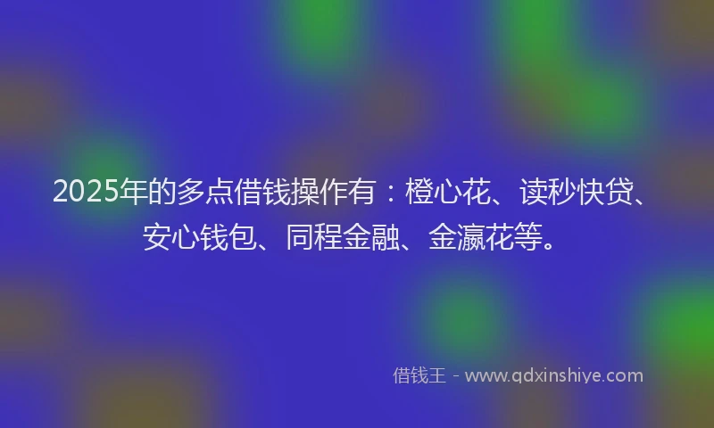 2025年的多点借钱操作有：橙心花、读秒快贷、安心钱包、同程金融、金瀛花等。