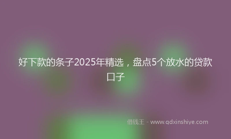 好下款的条子2025年精选，盘点5个放水的贷款口子