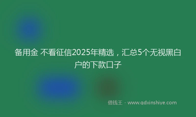 备用金 不看征信2025年精选，汇总5个无视黑白户的下款口子