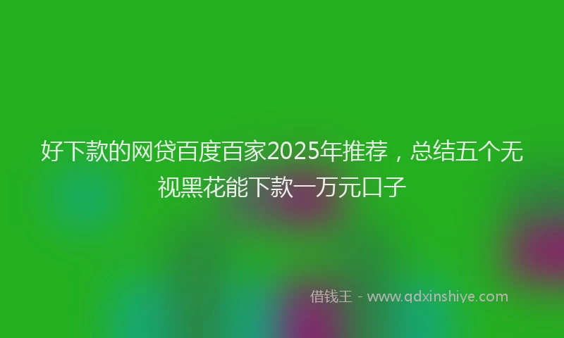 好下款的网贷百度百家2025年推荐，总结五个无视黑花能下款一万元口子