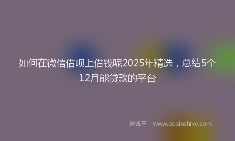 如何在微信借呗上借钱呢2025年精选，总结5个12月能贷款的平台
