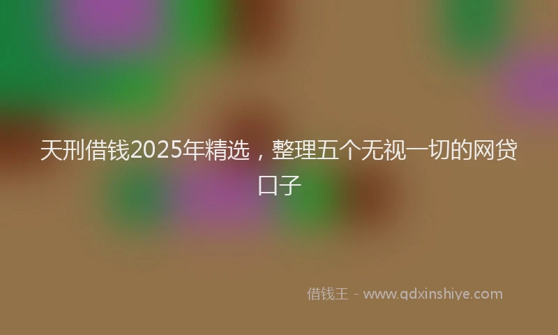 天刑借钱2025年精选，整理五个无视一切的网贷口子