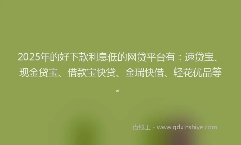 2025年的好下款利息低的网贷平台有：速贷宝、现金贷宝、借款宝快贷、金瑞快借、轻花优品等。