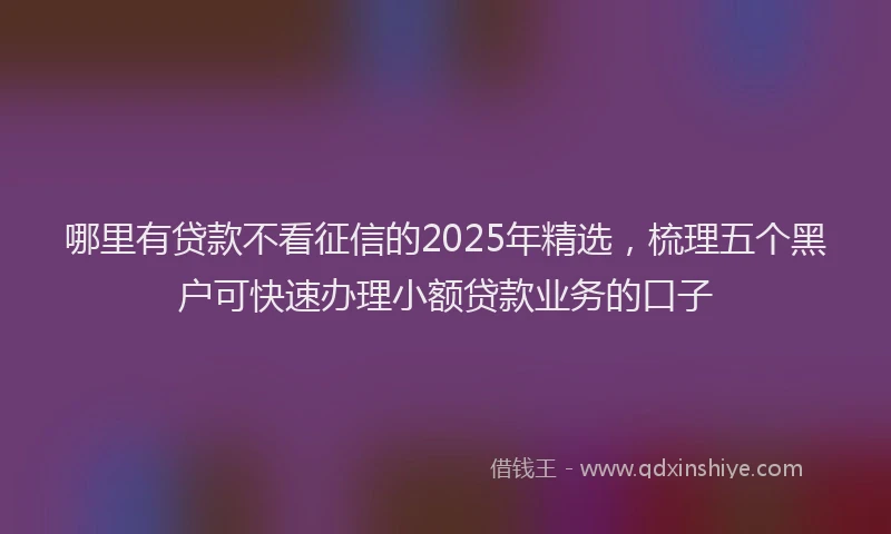 哪里有贷款不看征信的2025年精选，梳理五个黑户可快速办理小额贷款业务的口子