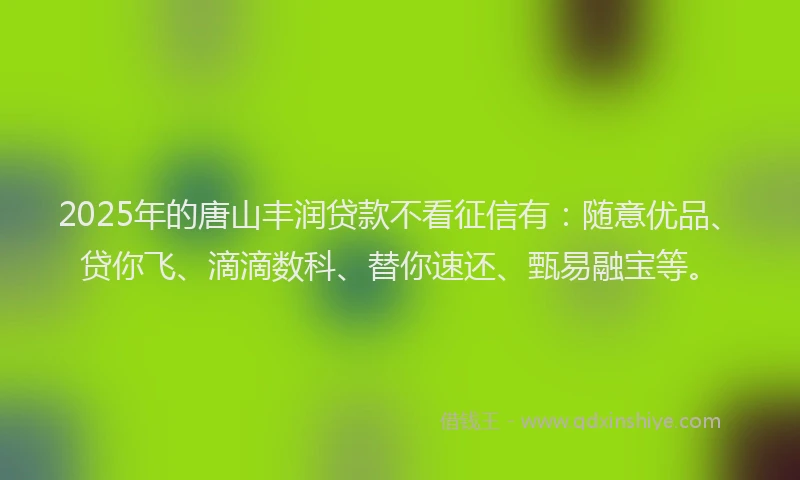 2025年的唐山丰润贷款不看征信有：随意优品、贷你飞、滴滴数科、替你速还、甄易融宝等。