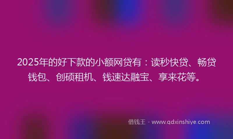 2025年的好下款的小额网贷有：读秒快贷、畅贷钱包、创硕租机、钱速达融宝、享来花等。