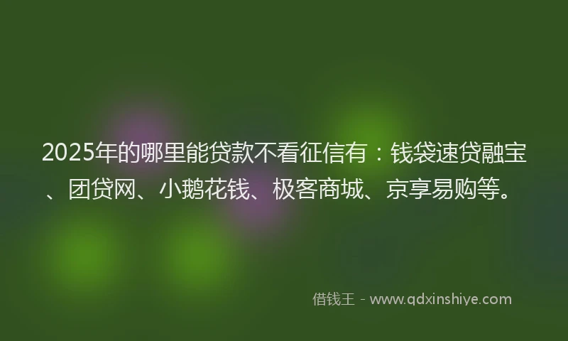 2025年的哪里能贷款不看征信有：钱袋速贷融宝、团贷网、小鹅花钱、极客商城、京享易购等。