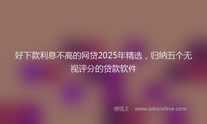好下款利息不高的网贷2025年精选，归纳五个无视评分的贷款软件