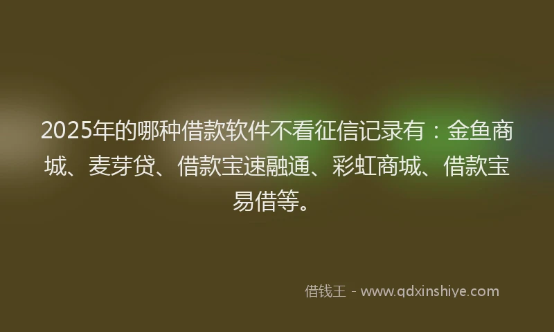 2025年的哪种借款软件不看征信记录有：金鱼商城、麦芽贷、借款宝速融通、彩虹商城、借款宝易借等。
