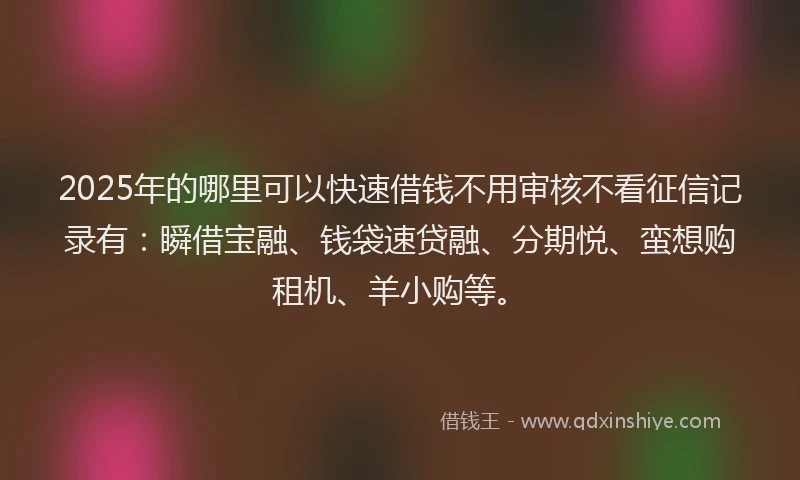 2025年的哪里可以快速借钱不用审核不看征信记录有：瞬借宝融、钱袋速贷融、分期悦、蛮想购租机、羊小购等。