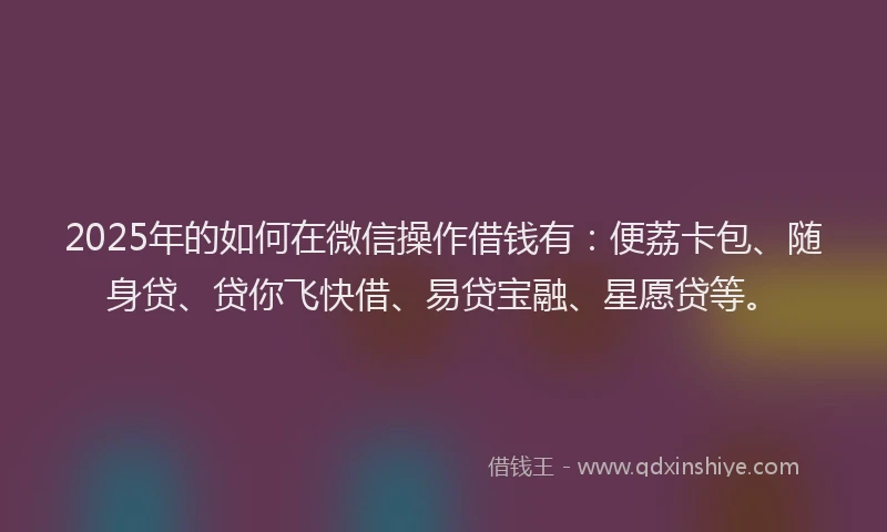 2025年的如何在微信操作借钱有：便荔卡包、随身贷、贷你飞快借、易贷宝融、星愿贷等。