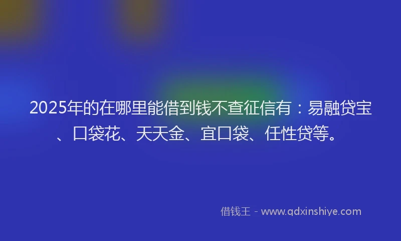 2025年的在哪里能借到钱不查征信有：易融贷宝、口袋花、天天金、宜口袋、任性贷等。