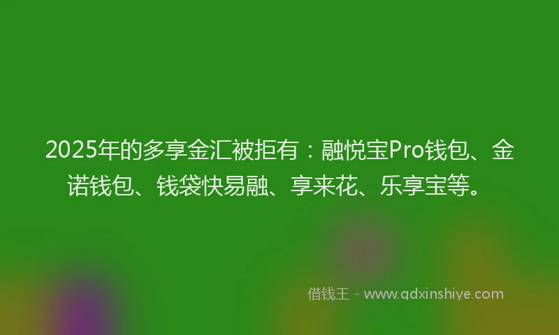 2025年的多享金汇被拒有：融悦宝Pro钱包、金诺钱包、钱袋快易融、享来花、乐享宝等。