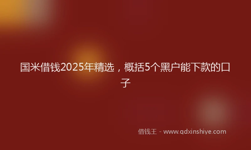 国米借钱2025年精选，概括5个黑户能下款的口子