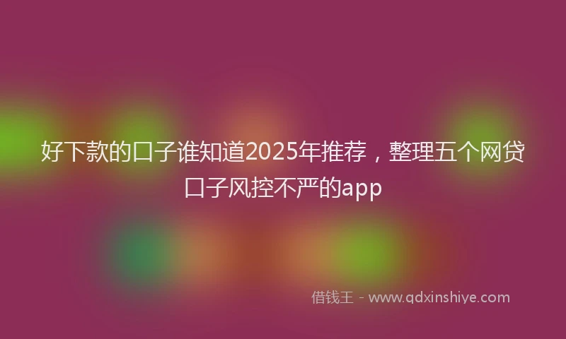 好下款的口子谁知道2025年推荐，整理五个网贷口子风控不严的app