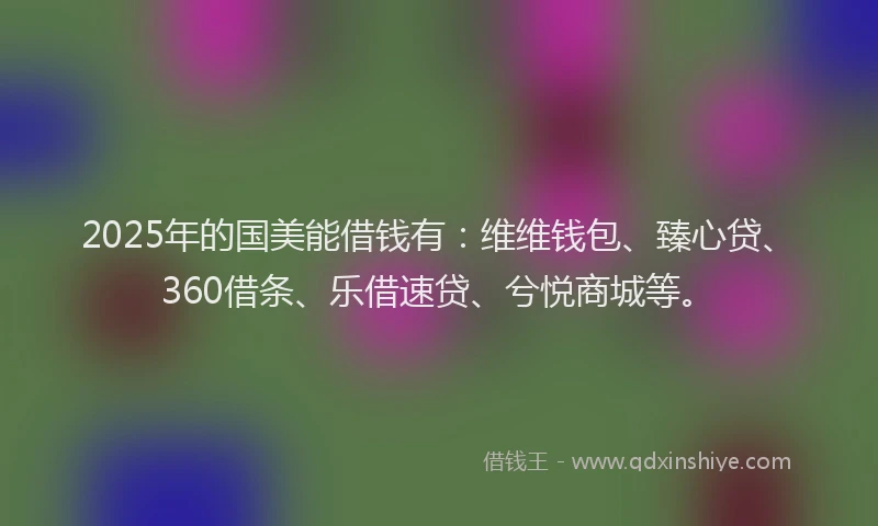 2025年的国美能借钱有：维维钱包、臻心贷、360借条、乐借速贷、兮悦商城等。