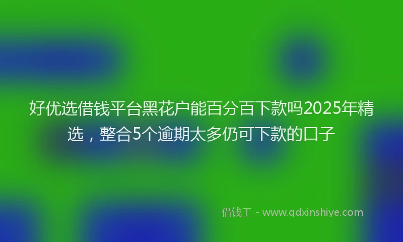 好优选借钱平台黑花户能百分百下款吗2025年精选，整合5个逾期太多仍可下款的口子