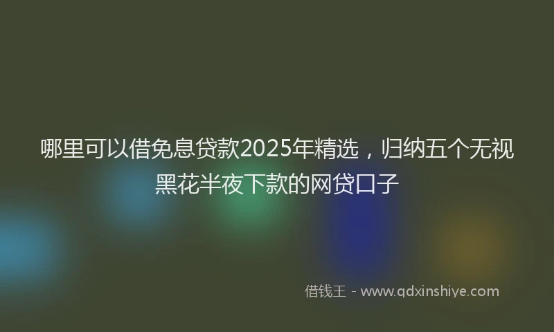 哪里可以借免息贷款2025年精选，归纳五个无视黑花半夜下款的网贷口子
