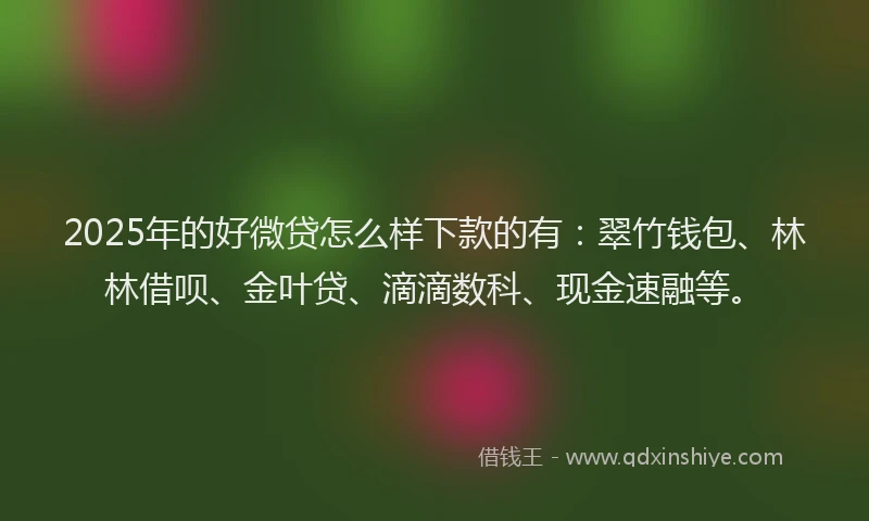 2025年的好微贷怎么样下款的有：翠竹钱包、林林借呗、金叶贷、滴滴数科、现金速融等。