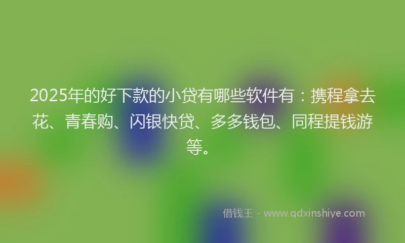 2025年的好下款的小贷有哪些软件有：携程拿去花、青春购、闪银快贷、多多钱包、同程提钱游等。