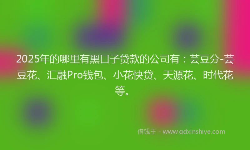 2025年的哪里有黑口子贷款的公司有：芸豆分-芸豆花、汇融Pro钱包、小花快贷、天源花、时代花等。