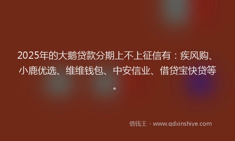 2025年的大鹅贷款分期上不上征信有：疾风购、小鹿优选、维维钱包、中安信业、借贷宝快贷等。