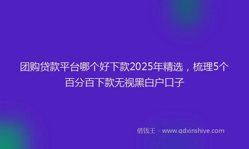 团购贷款平台哪个好下款2025年精选，梳理5个百分百下款无视黑白户口子