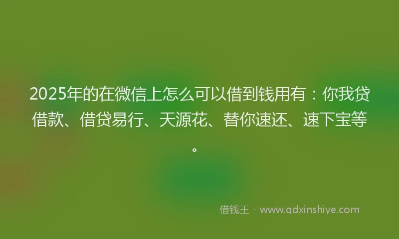 2025年的在微信上怎么可以借到钱用有：你我贷借款、借贷易行、天源花、替你速还、速下宝等。